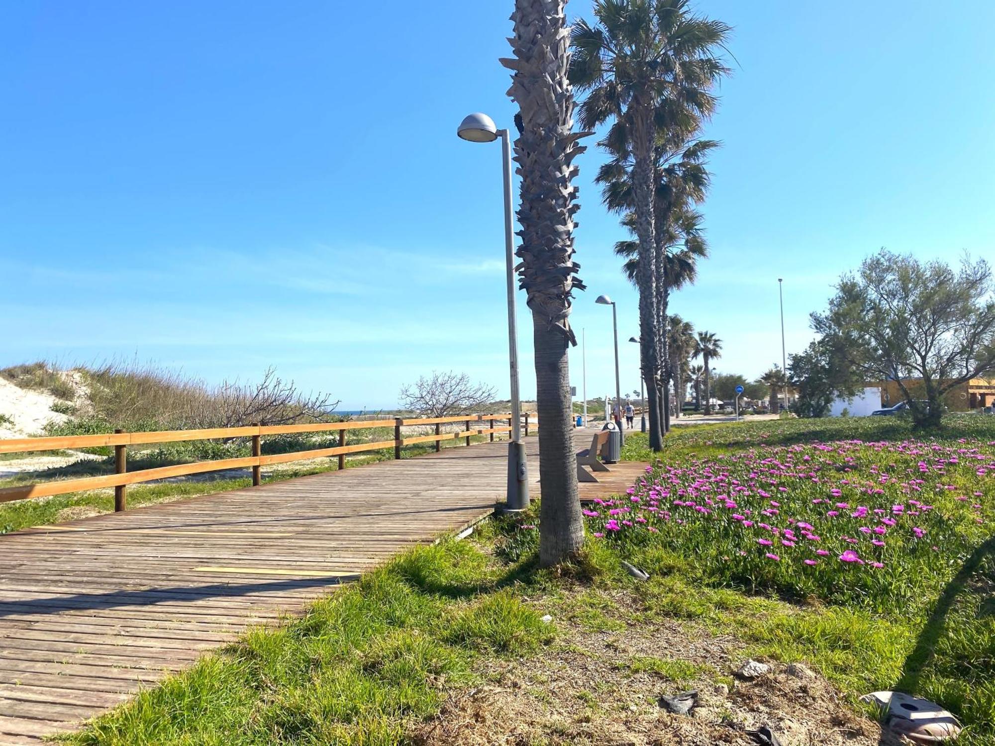 Precioso Apartamento A Tan Solo 300 M De La Playa Pilar de la Horadada Dış mekan fotoğraf